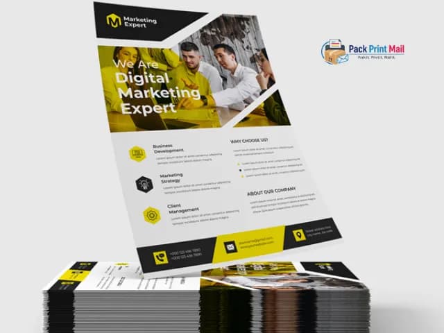 Flat Flyers Brochures printed product preview from Pack Print Mail