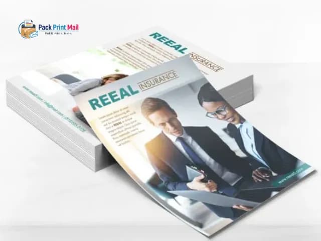 Silk Sell Sheets printed product preview from Pack Print Mail