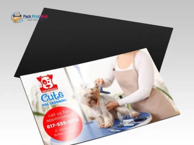 Standard Magnets (UV coating) printed product preview from Pack Print Mail