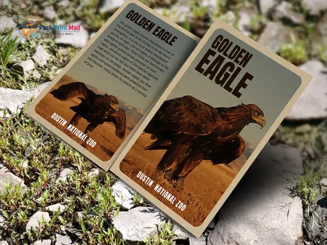 Brown Kraft Trading Cards printed product preview from Pack Print Mail