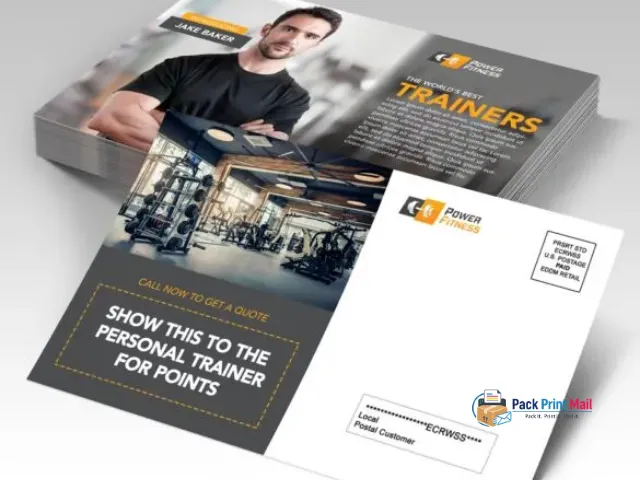 EDDM Sell Sheets - Print Only printed product preview from Pack Print Mail