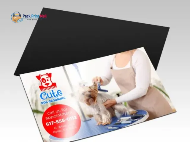 Standard Magnets (UV coating) printed product preview from Pack Print Mail